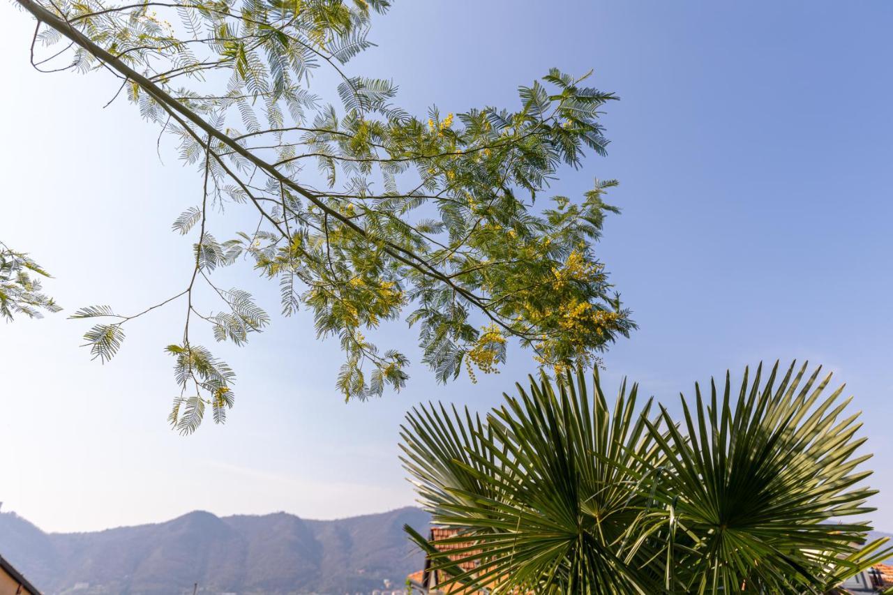 La Casetta Di Erica Como Buitenkant foto